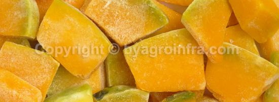 IQF Frozen Diced Pumpkin