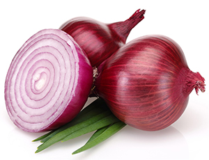 Freshly Harvested Indian Red Onions for IQF Frozen Sliced Red Onions